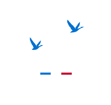 Grey Goose